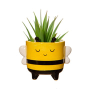 Sass & Belle Bee Mini Planter