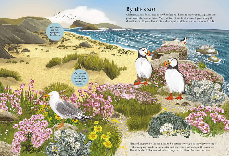 Grantham Book Services Birch Trees, Bluebells and other British Plants Children's Nature Sticker Book