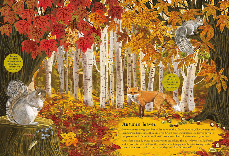 Grantham Book Services Birch Trees, Bluebells and other British Plants Children's Nature Sticker Book