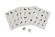 Gardening for Kids Bird Bingo