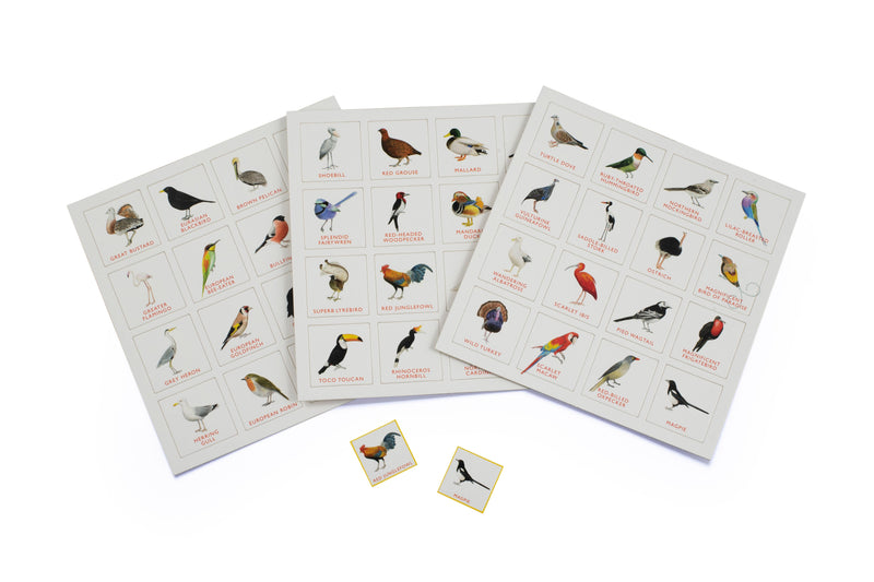 Gardening for Kids Bird Bingo