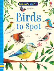 Bookspeed Birds to Spot - Children's Usborne Minis Spotter Guides Nature Book