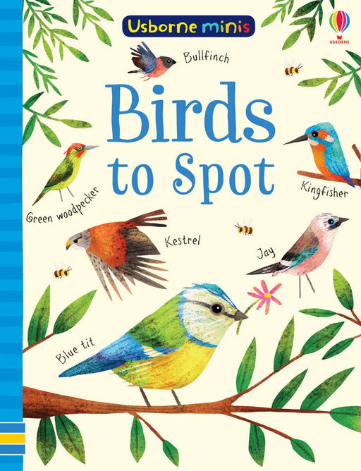 Bookspeed Birds to Spot - Children's Usborne Minis Spotter Guides Nature Book