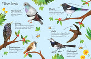 Bookspeed Birds to Spot - Children's Usborne Minis Spotter Guides Nature Book