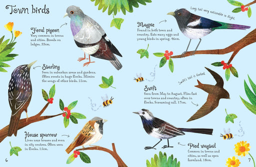 Bookspeed Birds to Spot - Children's Usborne Minis Spotter Guides Nature Book