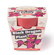 Gardening for Kids Black Dragon Plant Growing Kit with Pot