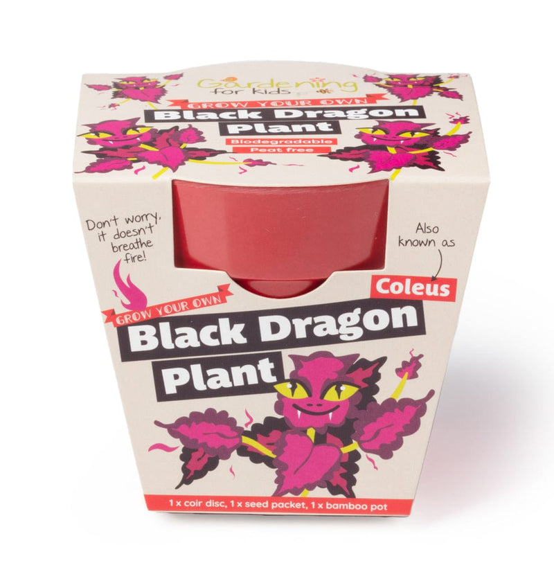 Gardening for Kids Black Dragon Plant Growing Kit with Pot
