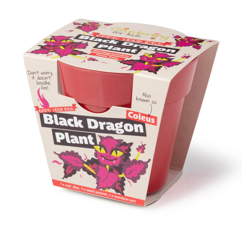 Gardening for Kids Black Dragon Plant Growing Kit with Pot