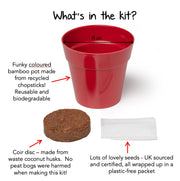 Gardening for Kids Black Dragon Plant Growing Kit with Pot