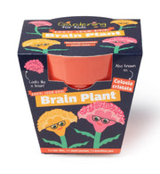 Gardening for Kids Brain Plant (Celosia) Growing Kit with Pot