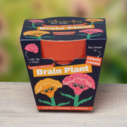Gardening for Kids Brain Plant (Celosia) Growing Kit with Pot