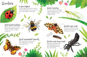Bookspeed Bugs to Spot Usborne Minis Children's Nature Book