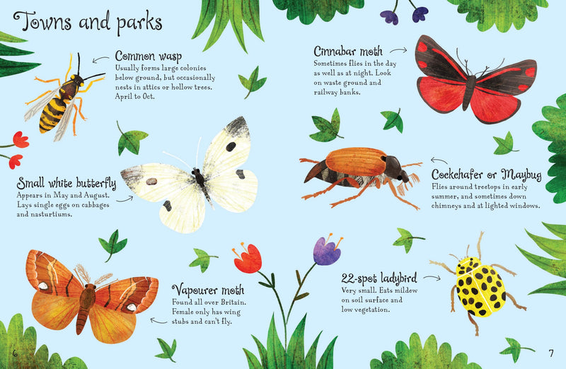Bookspeed Bugs to Spot Usborne Minis Children's Nature Book