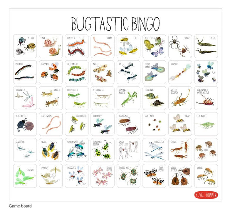 Bookspeed Bugtastic Bingo! Family board game
