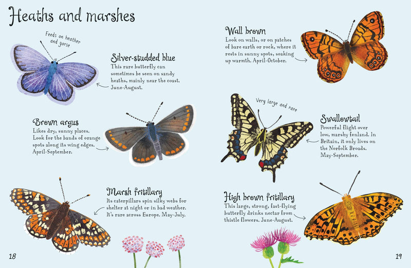 Bookspeed Butterflies to Spot - Usborne Mini Spotter Guide Children's Nature Book
