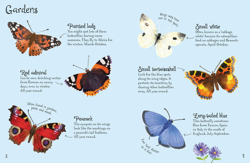 Bookspeed Butterflies to Spot - Usborne Mini Spotter Guide Children's Nature Book