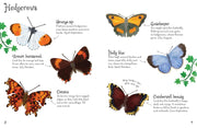 Bookspeed Butterflies to Spot - Usborne Mini Spotter Guide Children's Nature Book