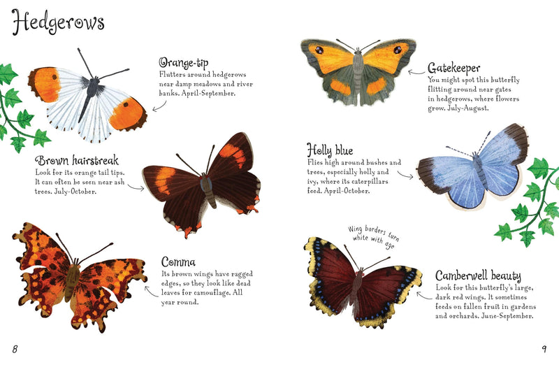 Bookspeed Butterflies to Spot - Usborne Mini Spotter Guide Children's Nature Book