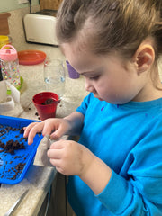 Gardening for Kids Cherry Tomato Growing Kit with Pot