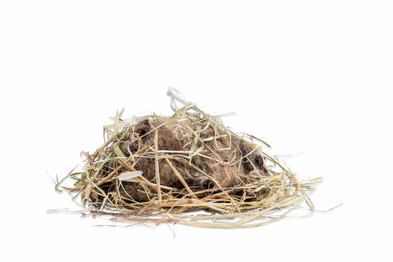 Fallen Fruits Children's Bird Nesting Wool and Fat Ball Dispenser Gift Set