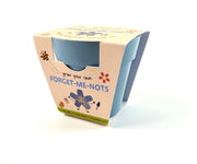Gardening for Kids Children's Forget-me-nots Growing Kit with pot