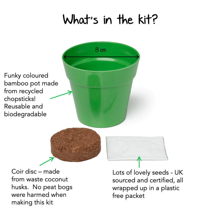 Gardening for Kids Children's Grow Your Own Courgettes Growing Kit with Pot