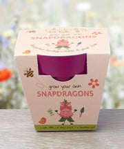Gardening for Kids Children's Grow Your Own Snapdragons Growing Kit with Pot