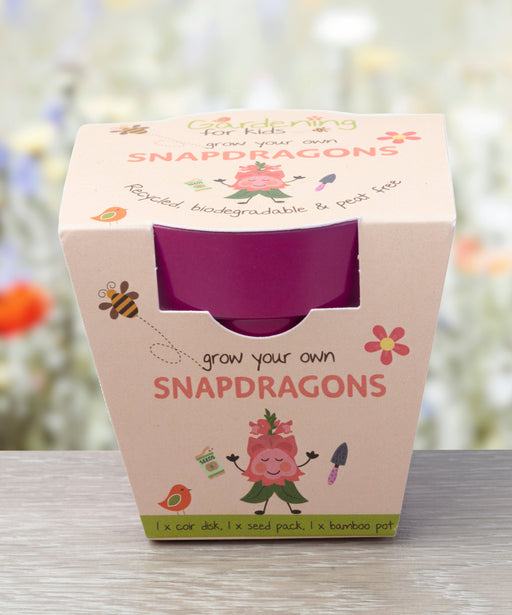 Gardening for Kids Children's Grow Your Own Snapdragons Growing Kit with Pot