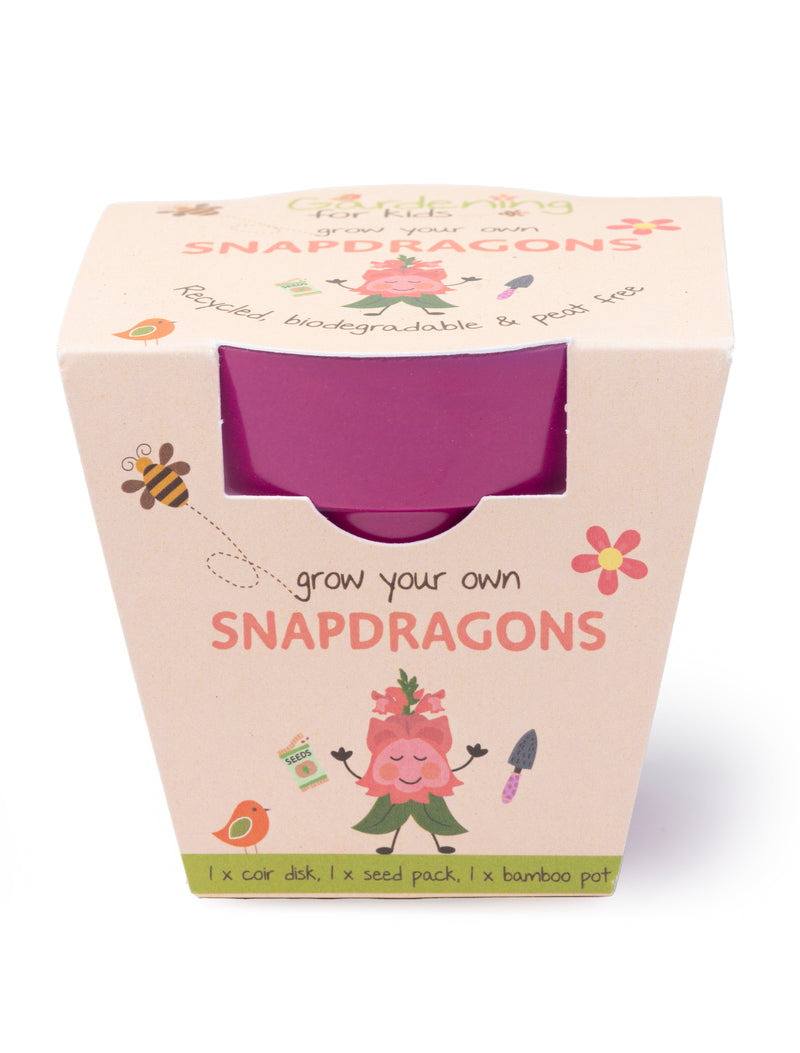 Gardening for Kids Children's Grow Your Own Snapdragons Growing Kit with Pot