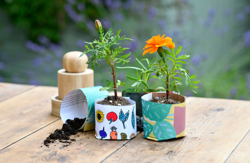 Burgon and Ball Children's Make Your Own Seedling Paper Pots