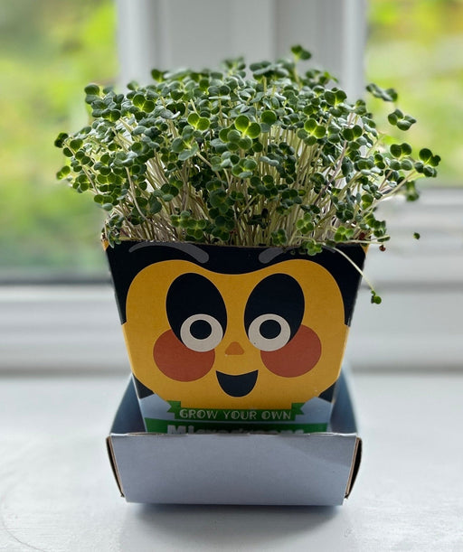 Gardening for Kids Children's Microgreens Growing Kit - Kale