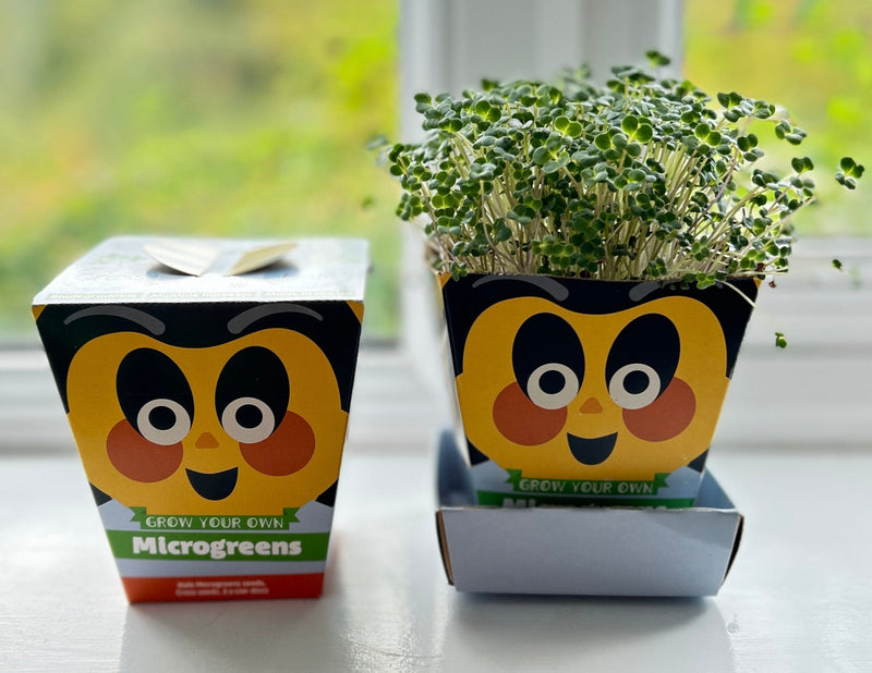 Gardening for Kids Children's Microgreens Growing Kit - Kale