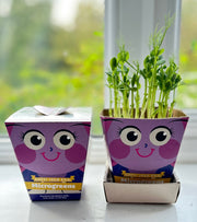 Gardening for Kids Children's Microgreens Growing Kit - Pea Shoots