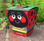 Gardening for Kids Children's Microgreens Growing Kit - Radish