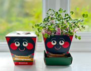 Gardening for Kids Children's Microgreens Growing Kit - Radish