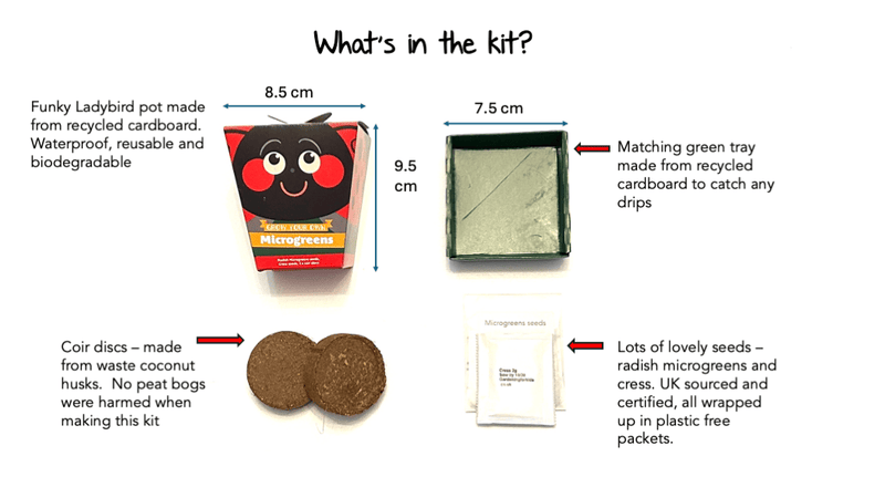 Gardening for Kids Children's Microgreens Growing Kit - Radish