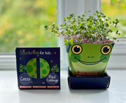 Gardening for Kids Children's Microgreens Growing Kit - Red Cabbage