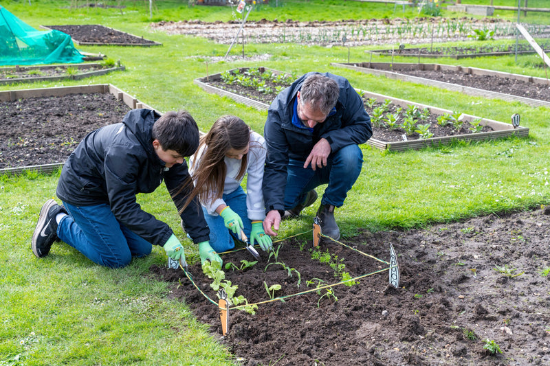 Burgon and Ball Children's 'My Vegetable Garden Patch' Garden marker Set