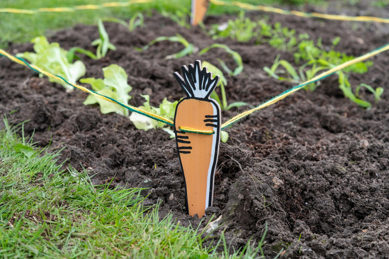 Burgon and Ball Children's 'My Vegetable Garden Patch' Garden marker Set