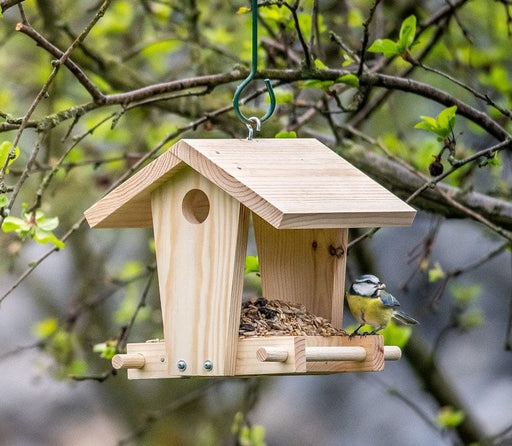 CJ Wildlife Children's National Trust Build Your Own Hanging Bird Feeder  Kit