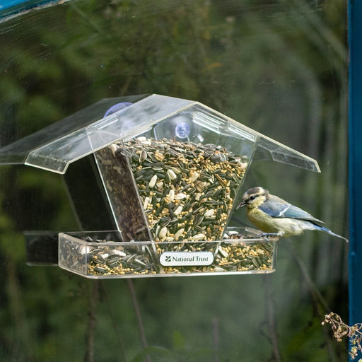 CJ Wildlife Children's National Trust Window Bird Seed Feeder
