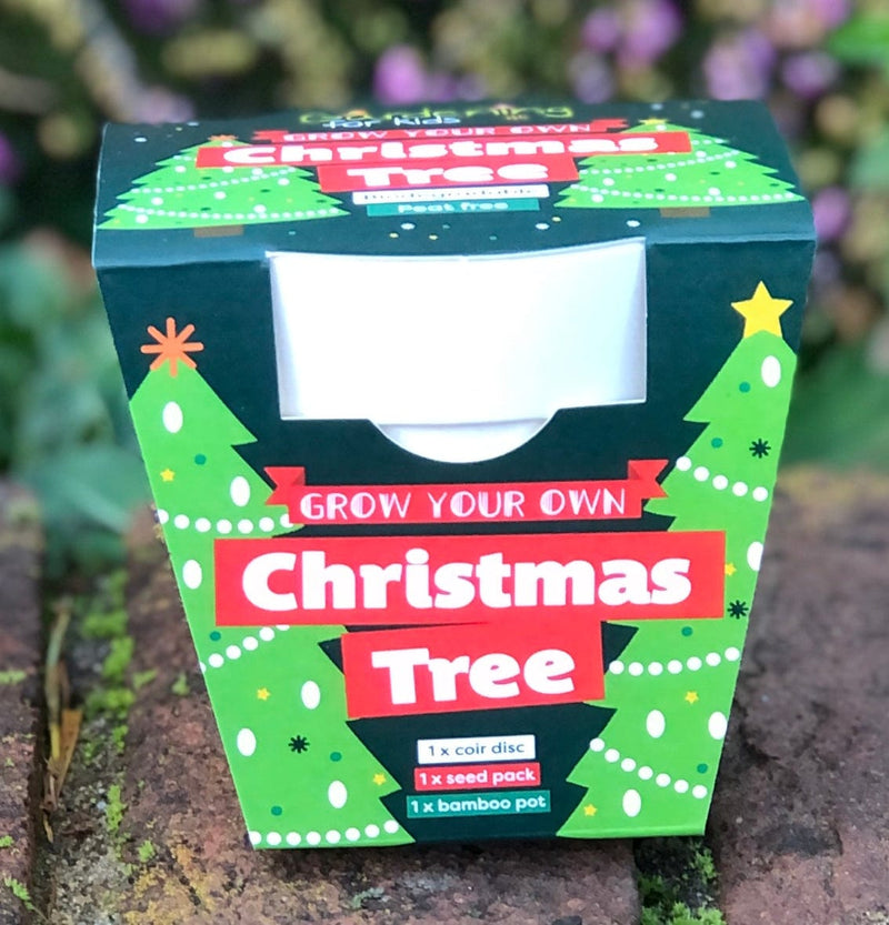 Gardening for Kids Christmas Tree Growing Kit with Pot
