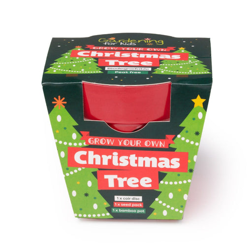 Gardening for Kids Christmas Tree Growing Kit with Pot