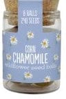 Gardening for Kids Corn Chamomile Seedballs Wildflower Jars