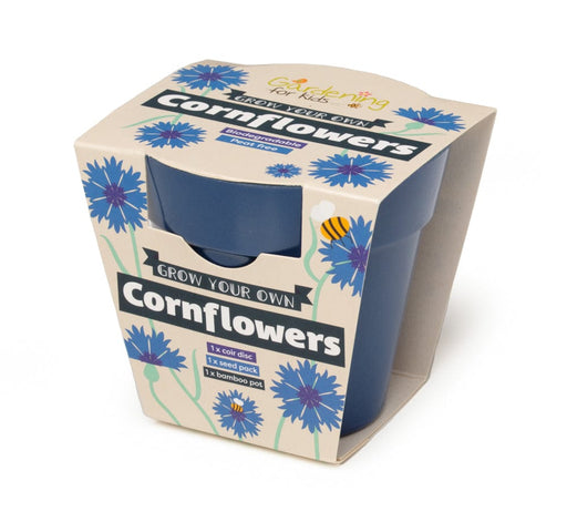 Gardening for Kids Cornflower Wildflower Growing Kit with Pot