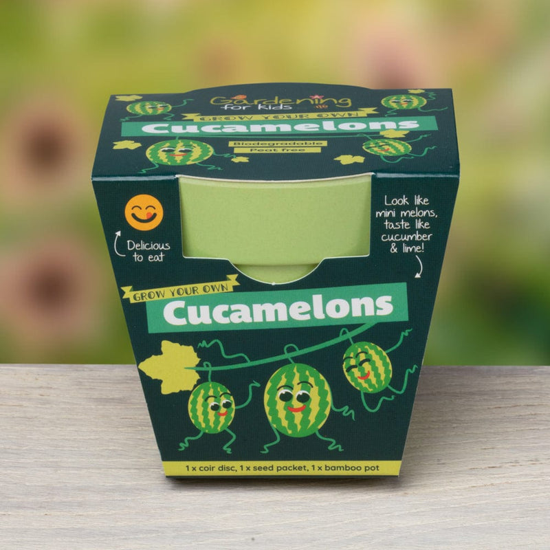Gardening for Kids Cucamelon Growing Kit with Pot