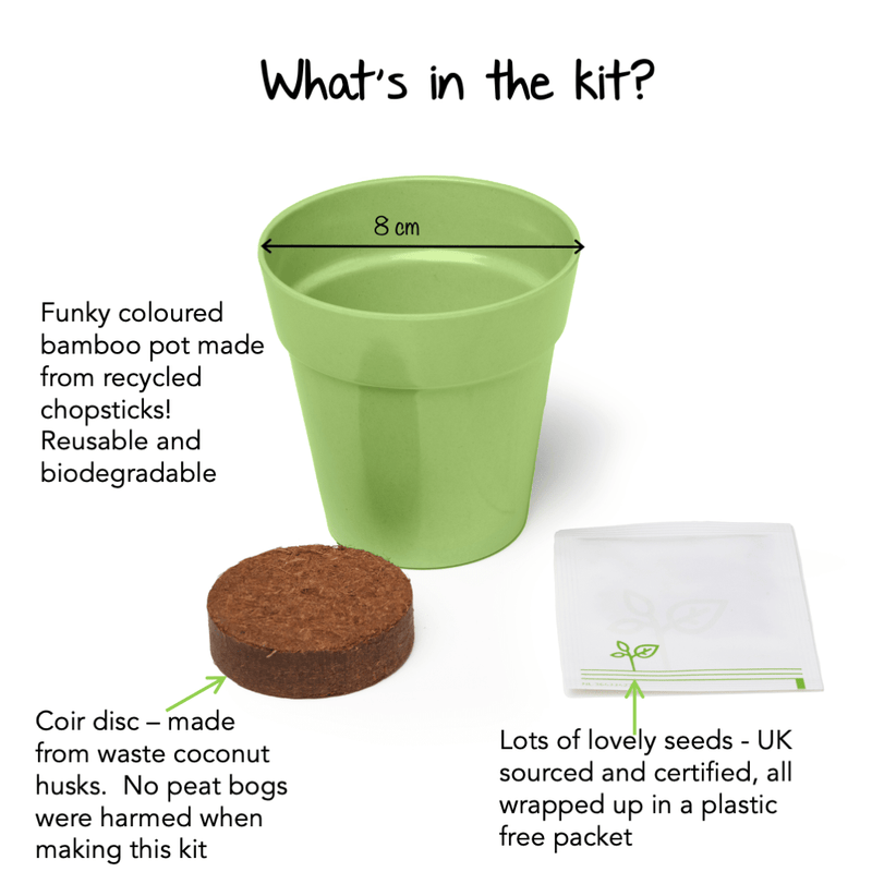 Gardening for Kids Cucamelon Growing Kit with Pot