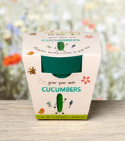 Gardening for Kids Cucumber Growing Kit with Pot