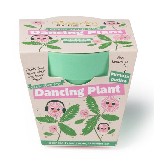 Gardening for Kids Dancing Plant Growing Kit with Pot