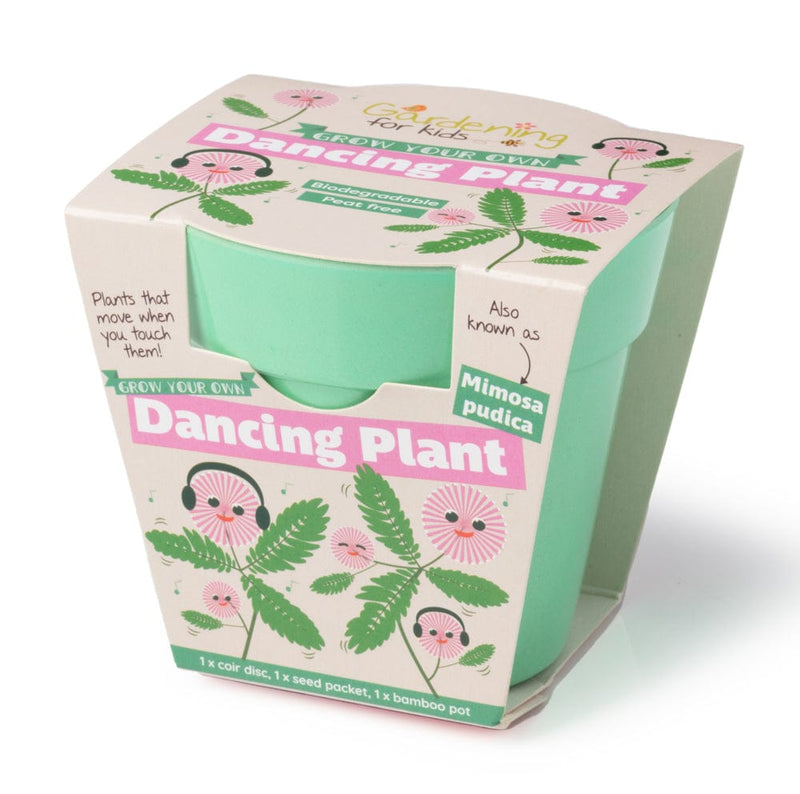 Gardening for Kids Dancing Plant Growing Kit with Pot